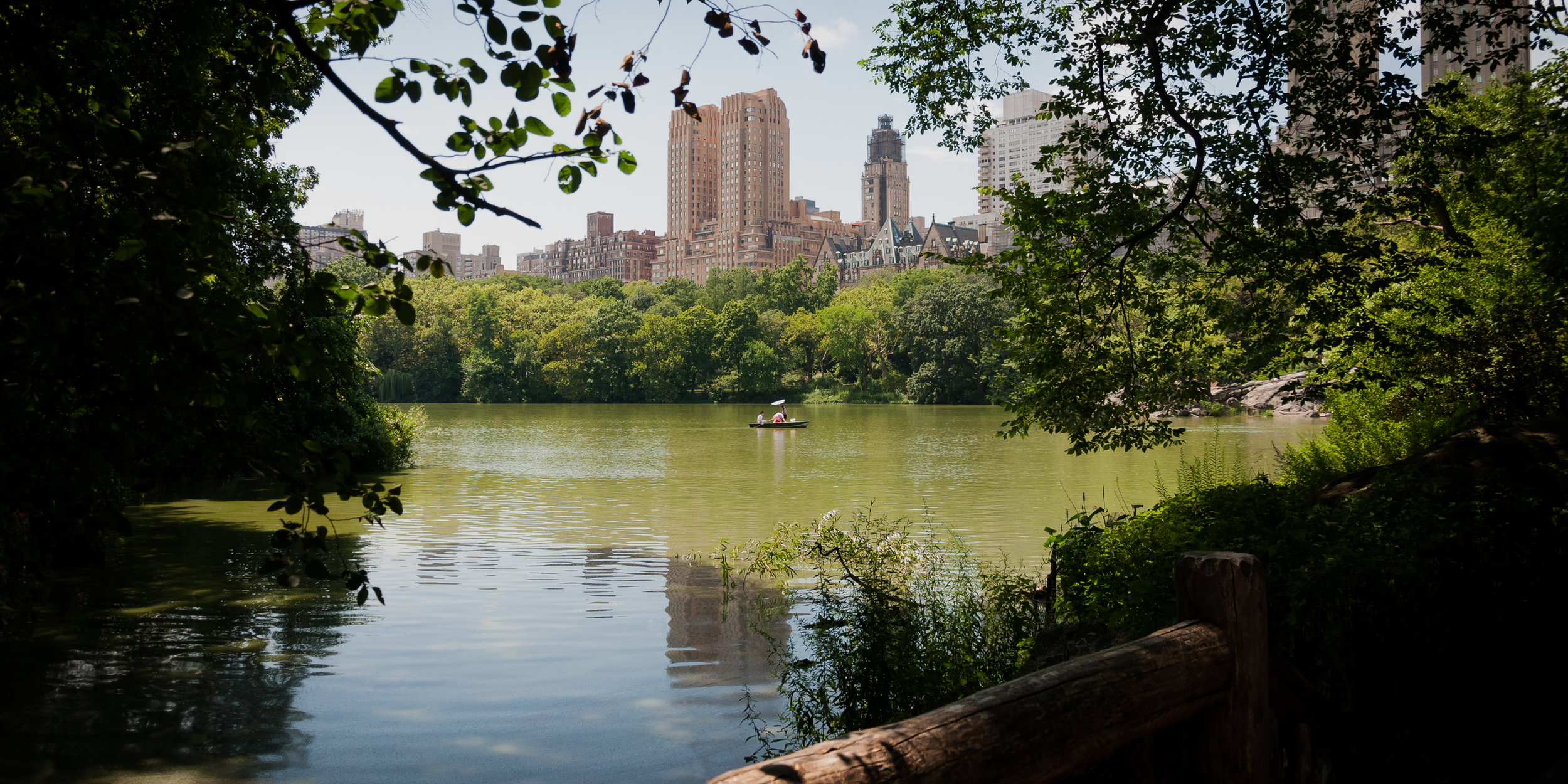 O-BE_Adam-Starr_Upper-East-Tomentose.jpg