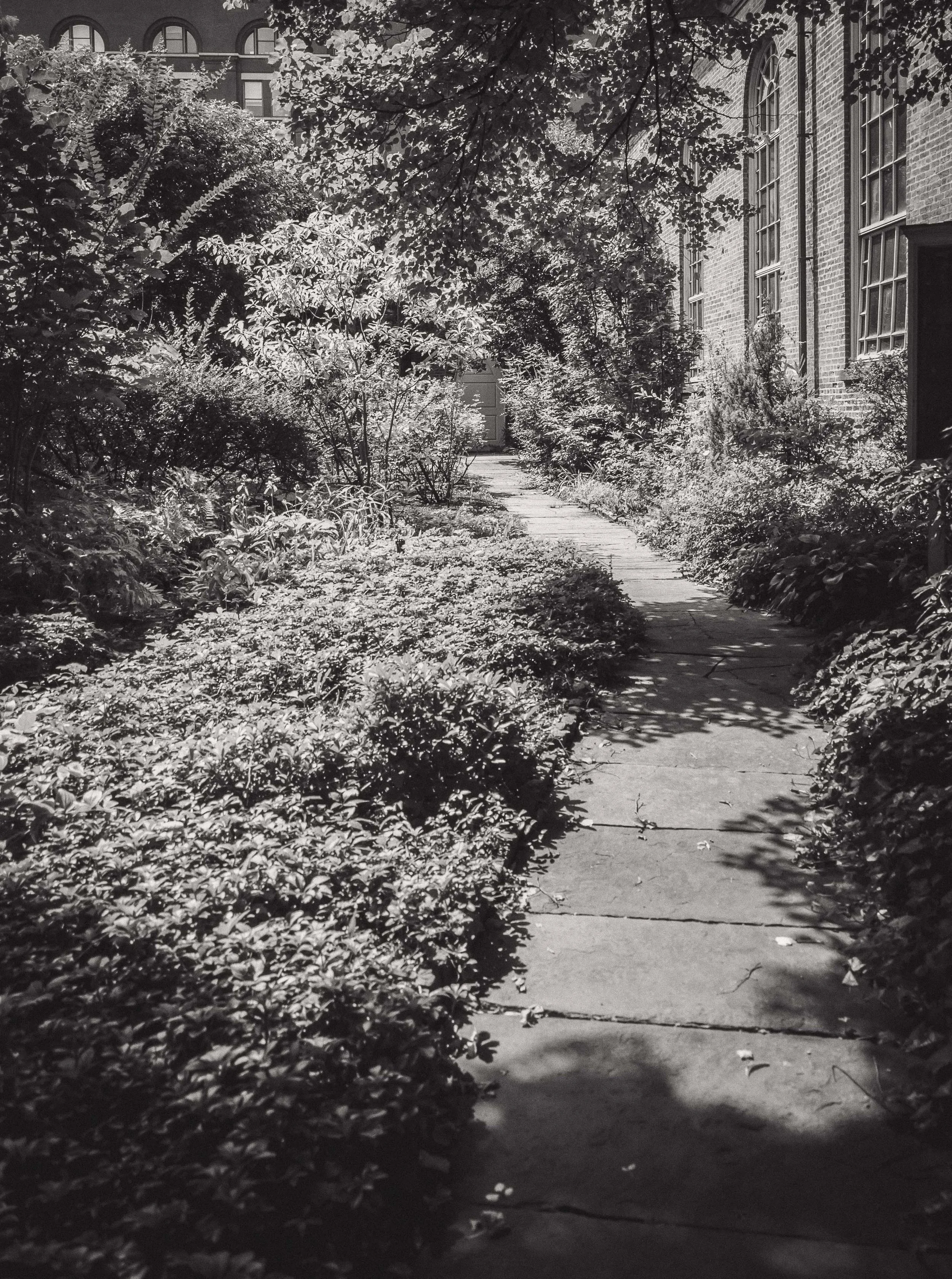 DSC_0479-Edit.jpg
