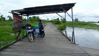 This 8km, 15 year old road in East Kalimantan is due to be shipped off to Bali and replaced with new illegal Ulin wood