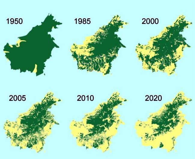 borneo-deforestation-map-_ueq3.jpg