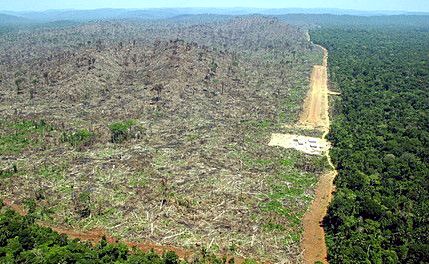 deforestation2-ae1dc.jpg