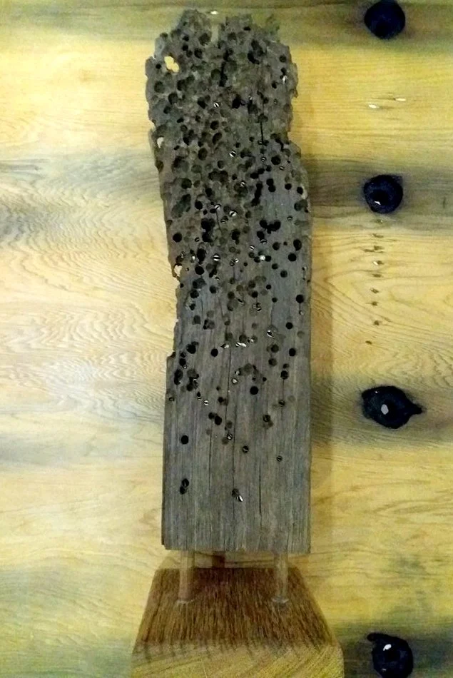  kayu  besi  Blog  Kaltimber