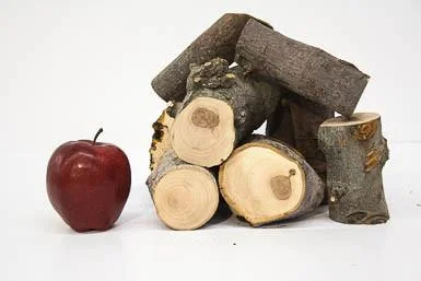 Apple Wood Uses _ The Significance of Apple Wood: Unraveling its ...