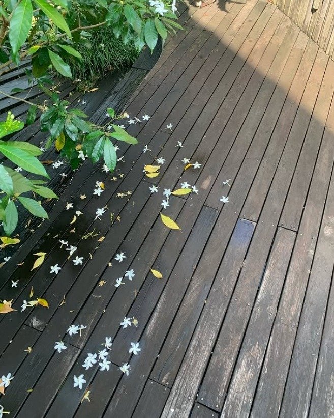 When reclaimed wood meets nature, the result is quiet beauty.
This Kaltimber decking isn&rsquo;t just a surface &mdash; it&rsquo;s a space where leaves fall, petals scatter, and time adds character.

Crafted to last, designed to live with the seasons