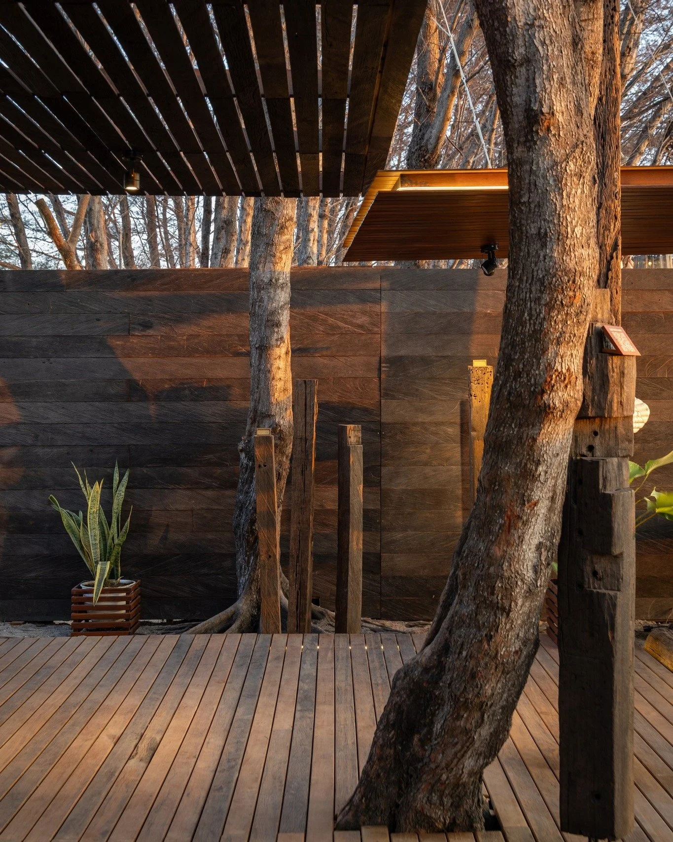 Designed to respect nature. Built from what already exists.

There is another way to build &mdash; one that values what has already been harvested, made, weathered and used.

Reclaimed ironwood carries its own history. Giving it another place in arch