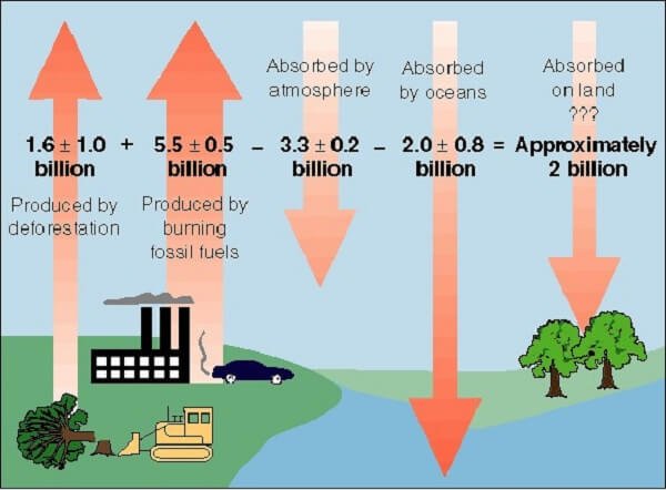 The Air is Unbearable”: Health Impacts of Deforestation-Related