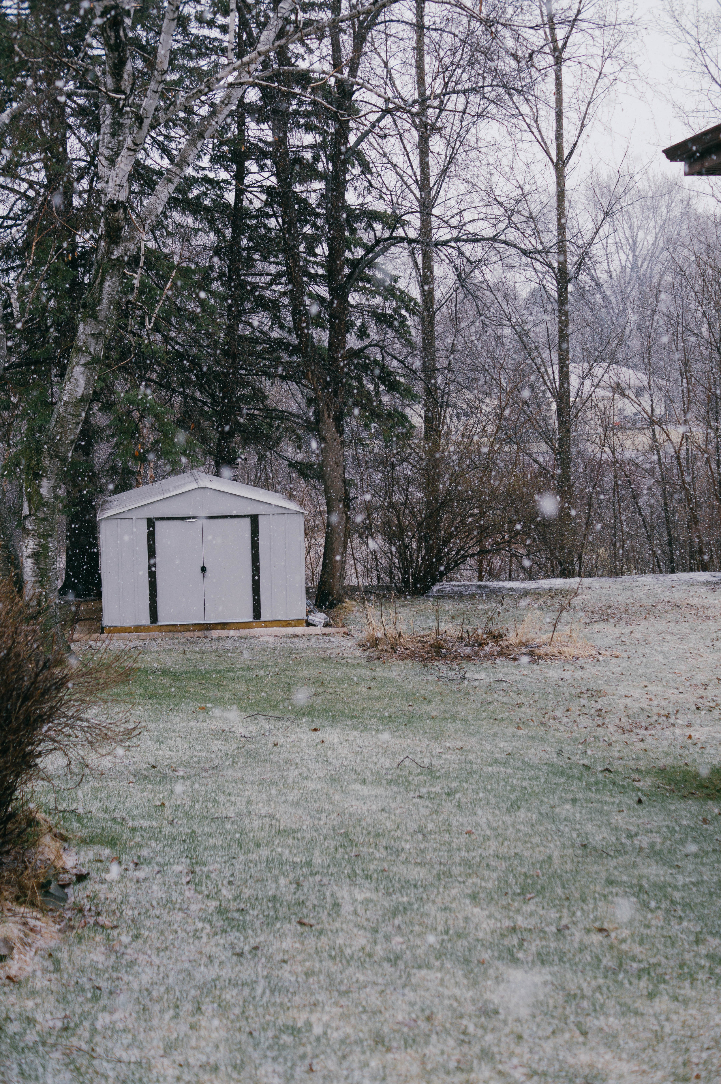 DSC03353.jpg