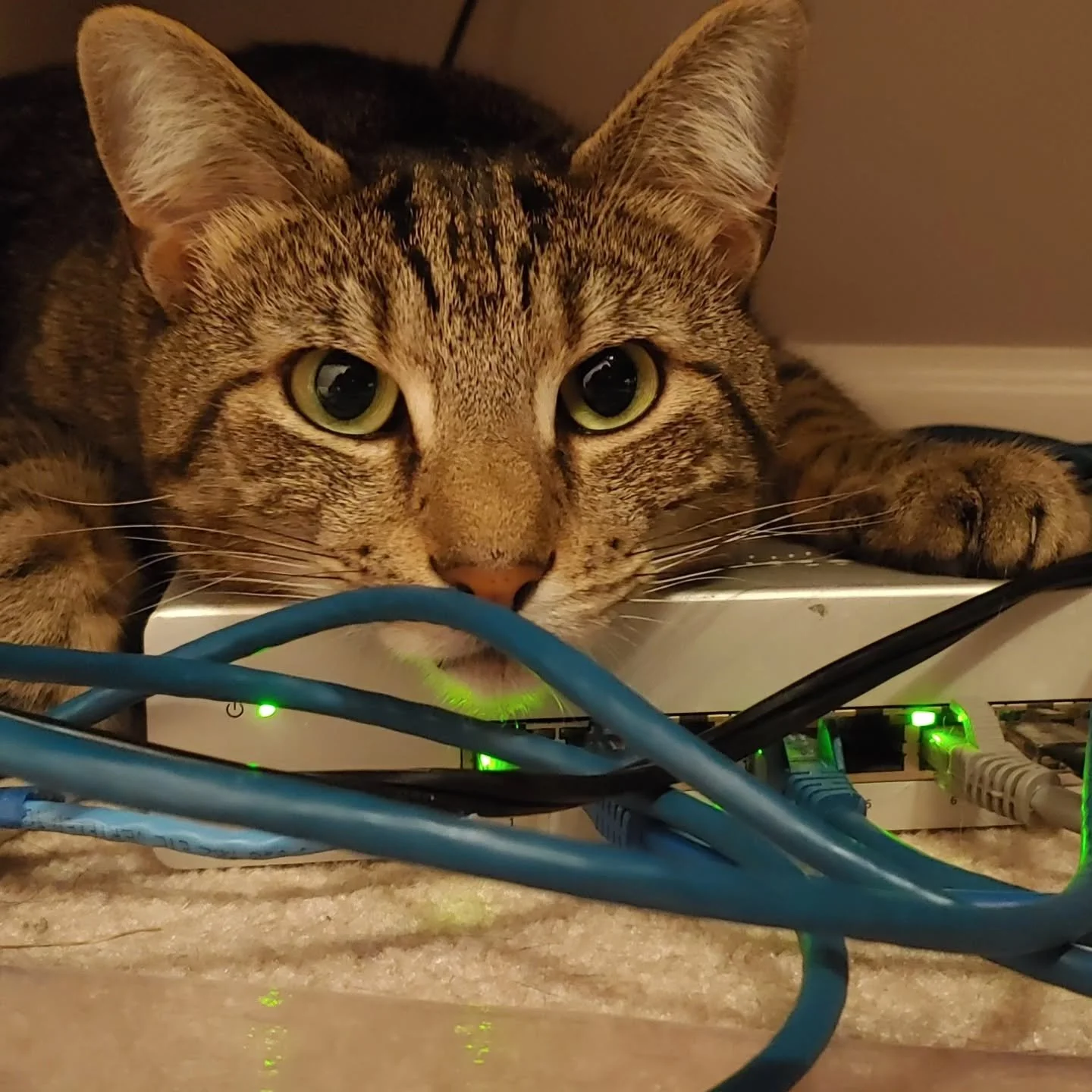 Luca is all plugged in to what's happening tonight, are you? It's the day of the spooky show, y'all! Tonight at 8 @themidwaycafejp $10 cash cover music games costume contest dancing goodtimes. With @yourfriendsinhell @squallpsycho420 @thoumercilessgr