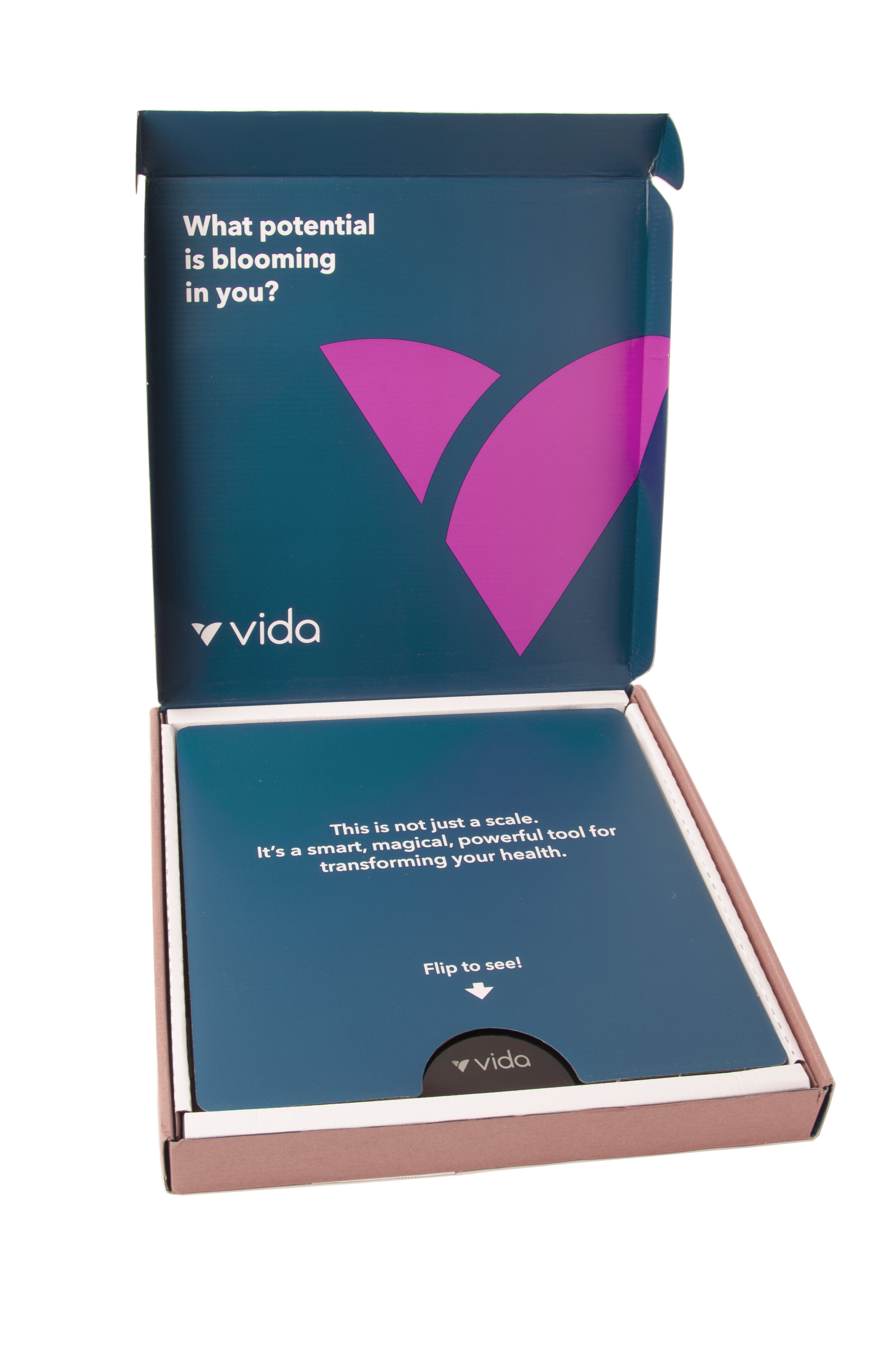 open box vida scale.jpg