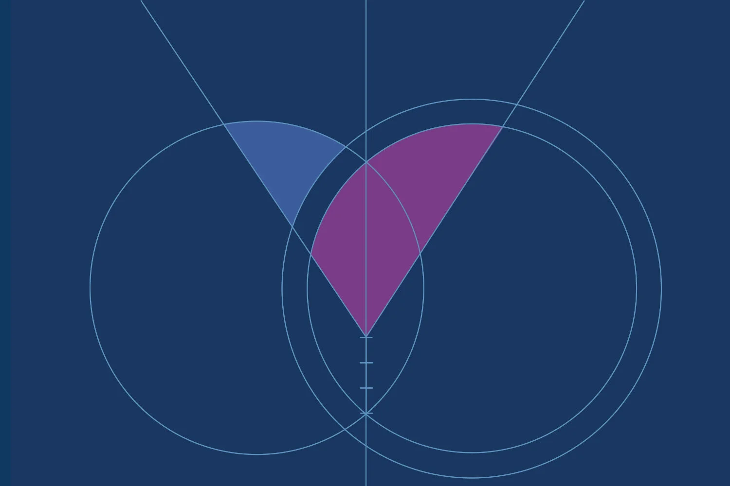 vida brand and Marketing bloom.jpg