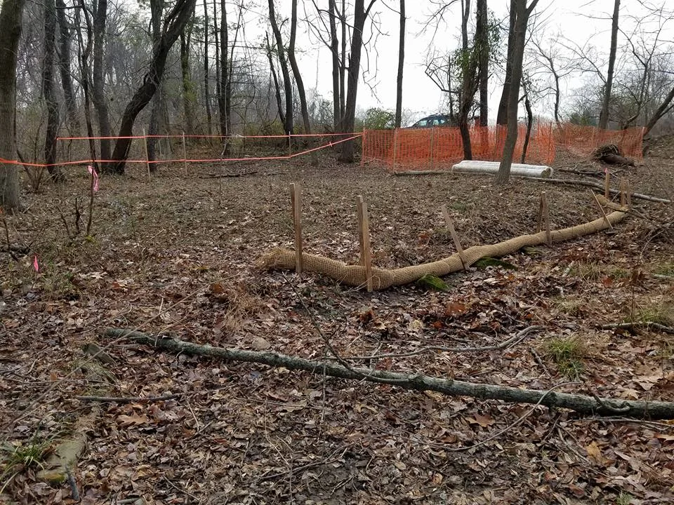 Before construction of the future vernal pool expansion