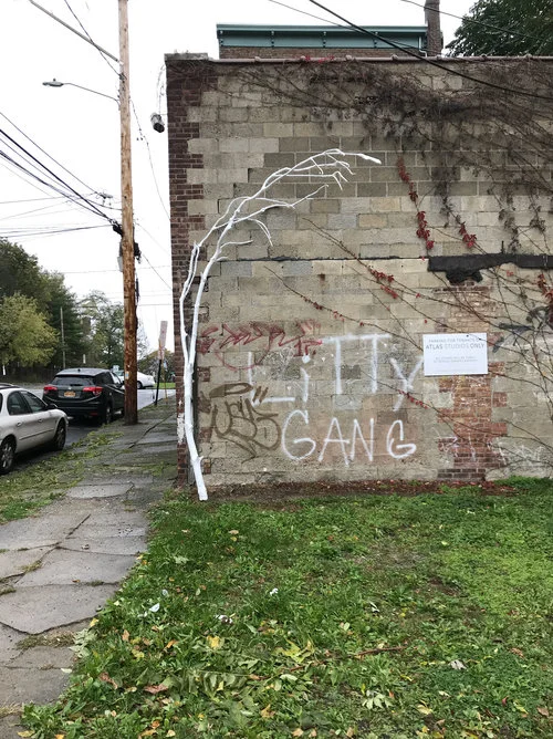 SUSPECT REVIVAL, 2017