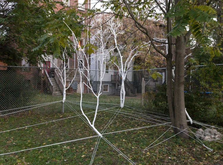 Suspect Revival, 2017