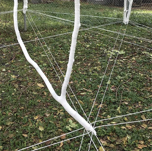 Suspect Revival, 2017