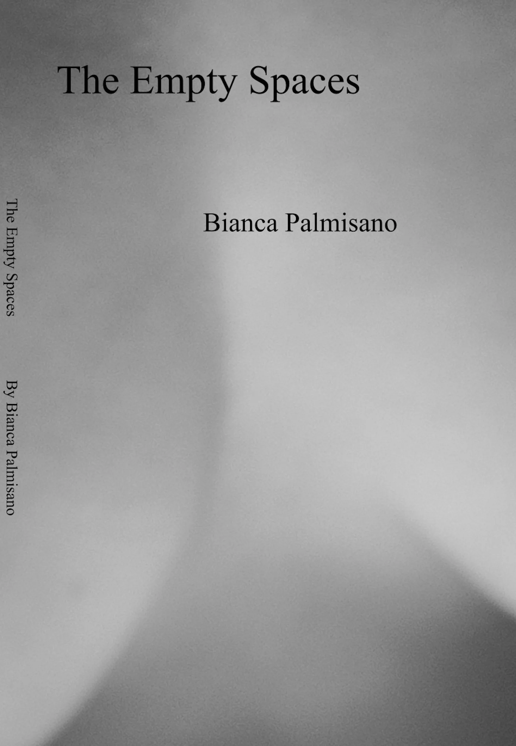 The Empty Spaces By Bianca Palmisano