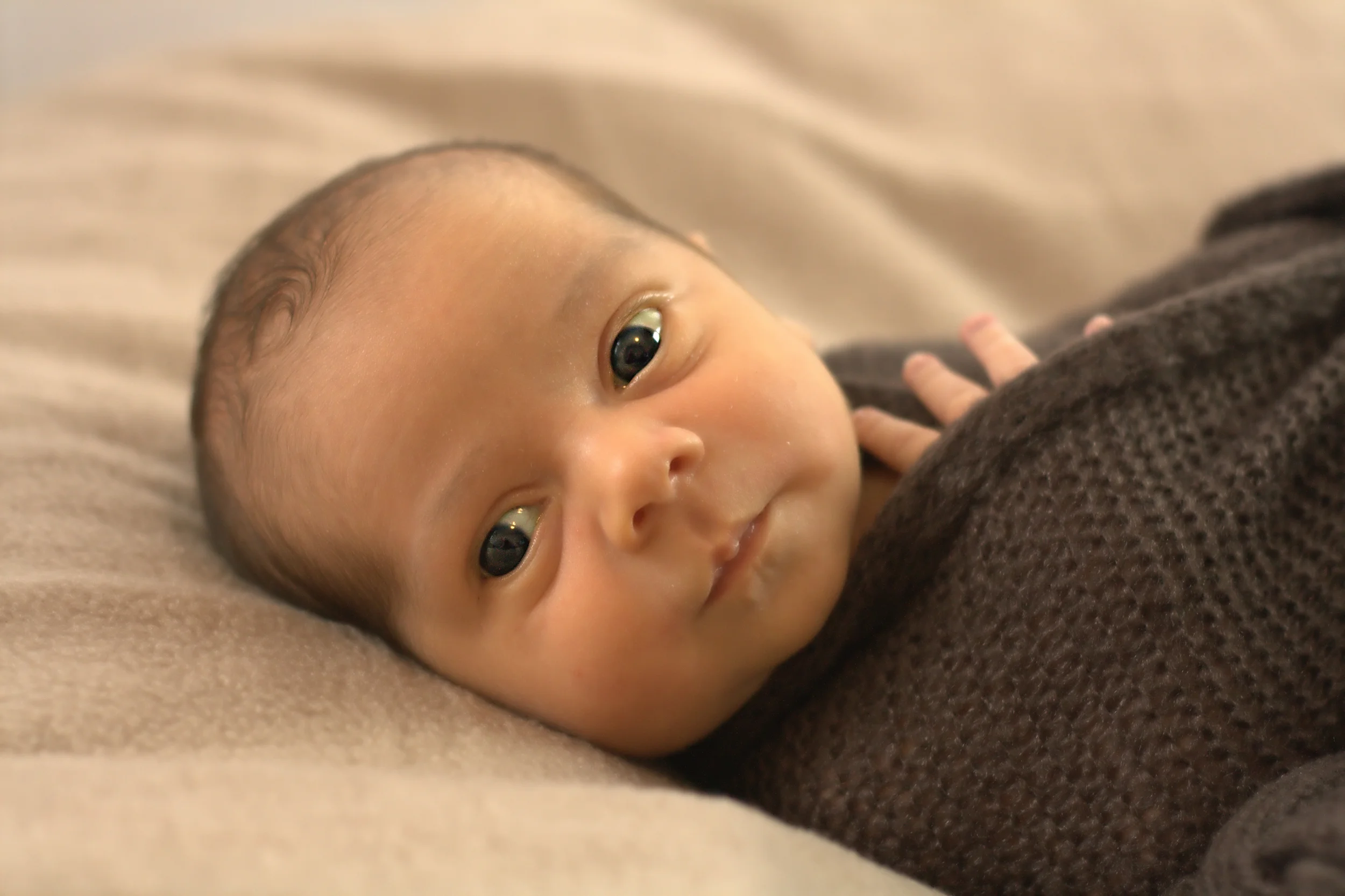 babyavi41-_MG_4237.jpg