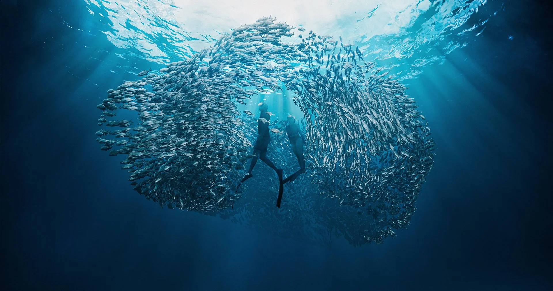 Ningaloo Dream Graded_1920px wide WEB.jpg