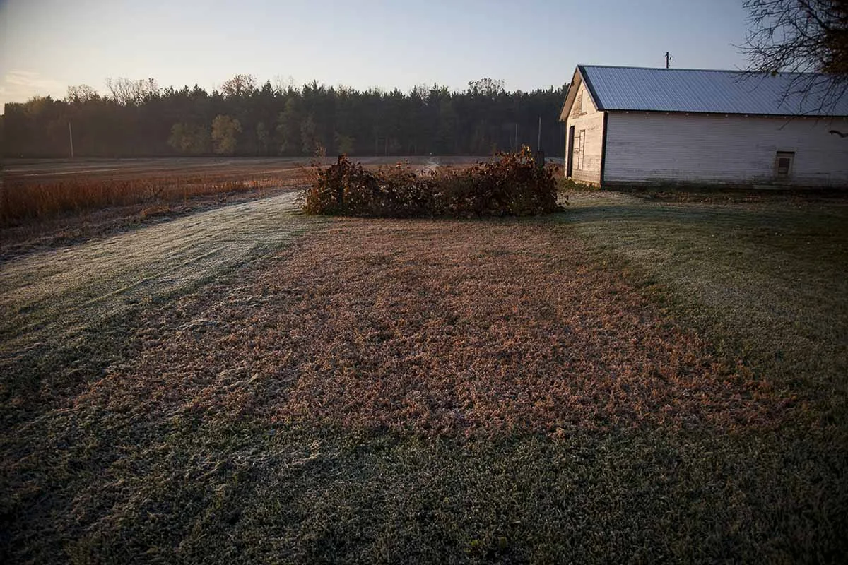 out behind the chicken coop