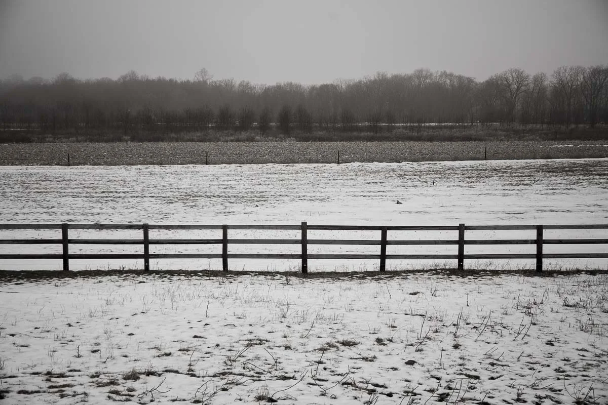 the farm