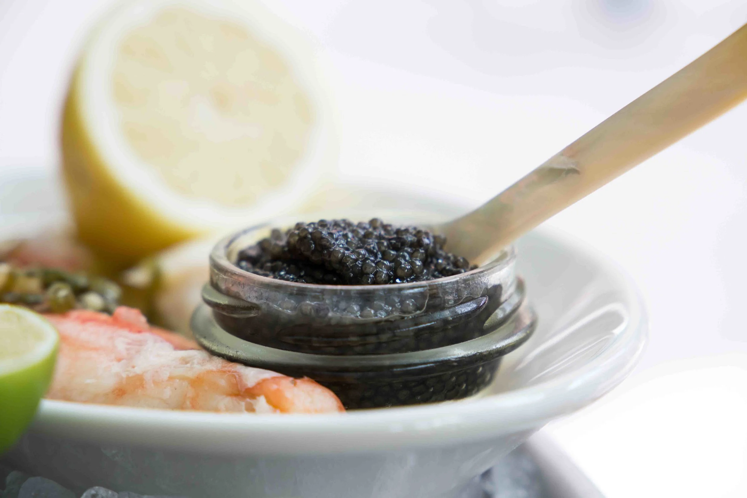 Sarah-Storrer-North-Square-Oyster-Bar-WH3A2121_web.jpg