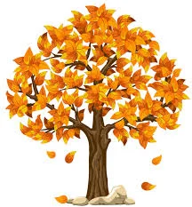 Fall Tree.jpg