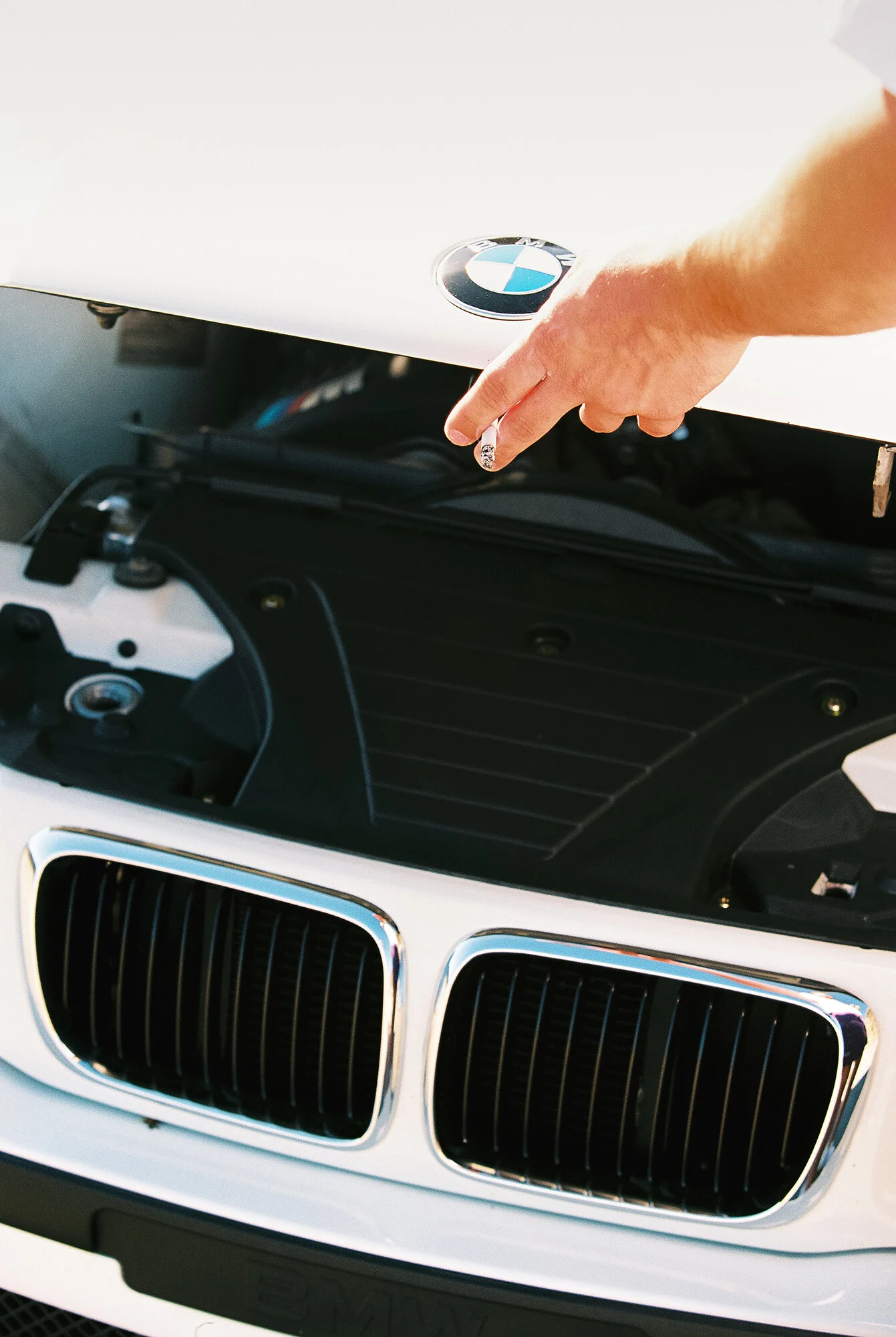 113817MShu090712-R5-173 smoler.jpg