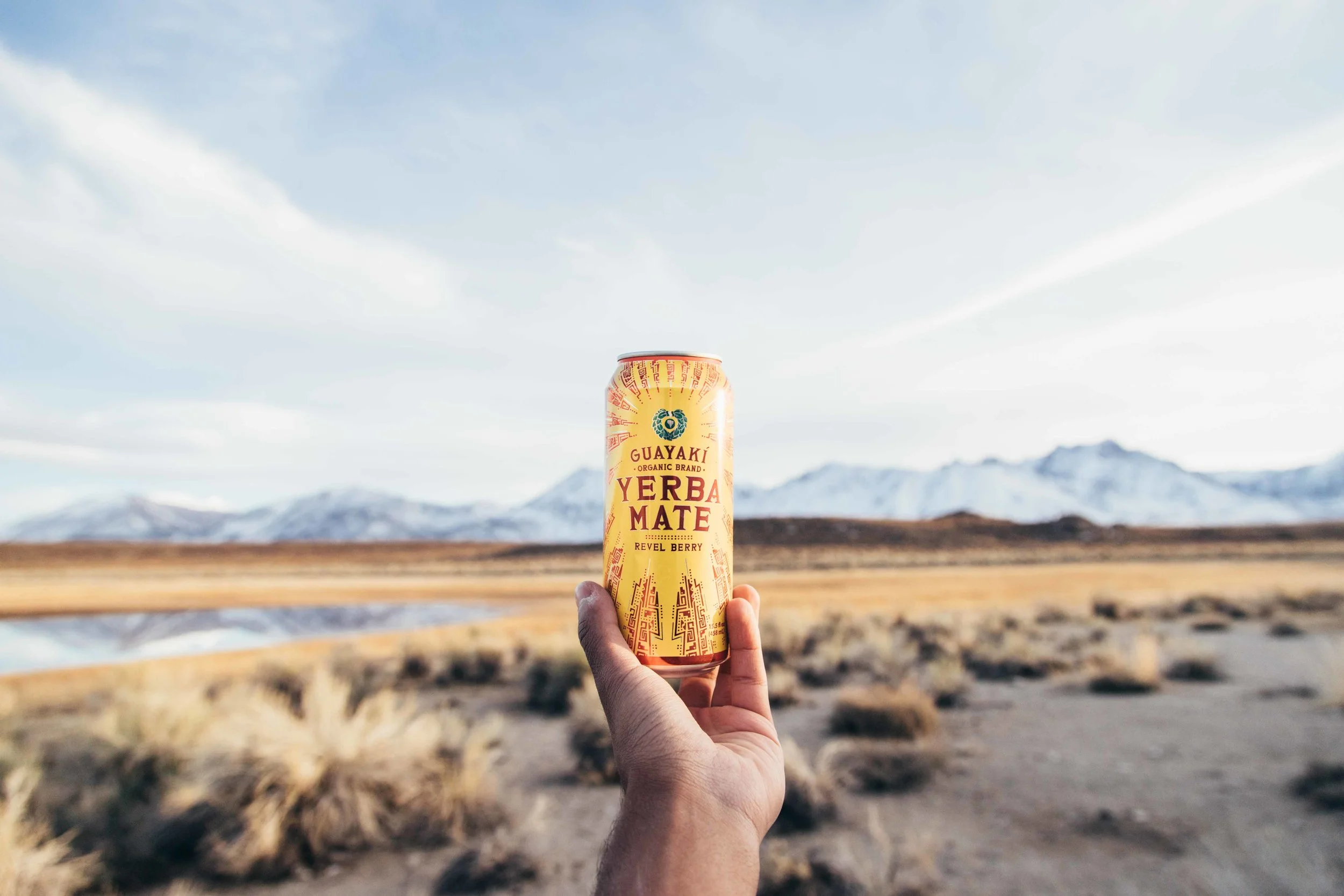 Guayaki | Dilan Mistry-0465.jpg