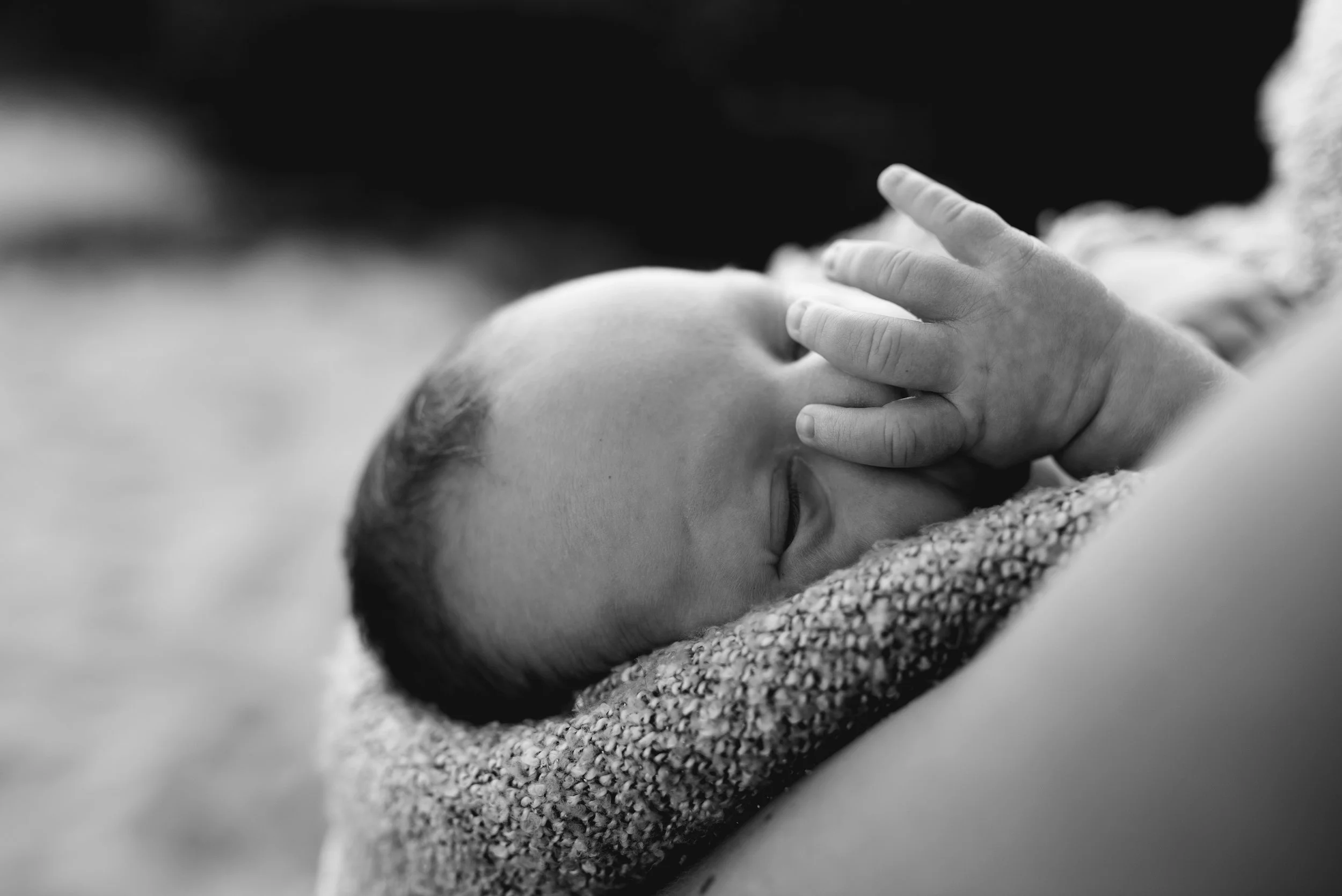 MAL_8069_bw.jpg