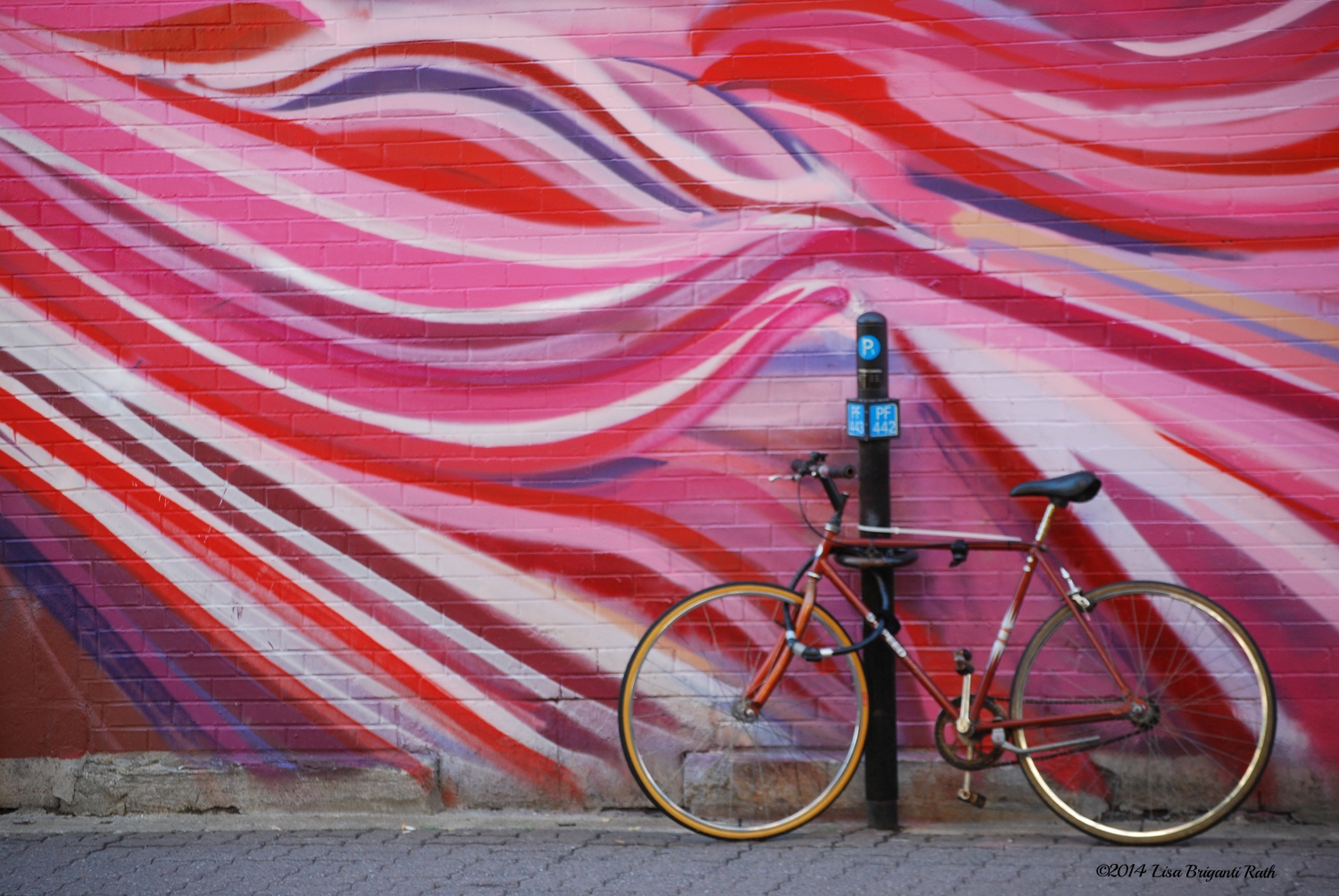 Montreal Bike