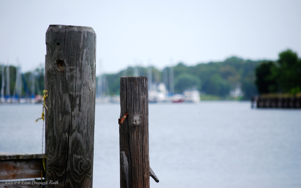 Harbor Moorings