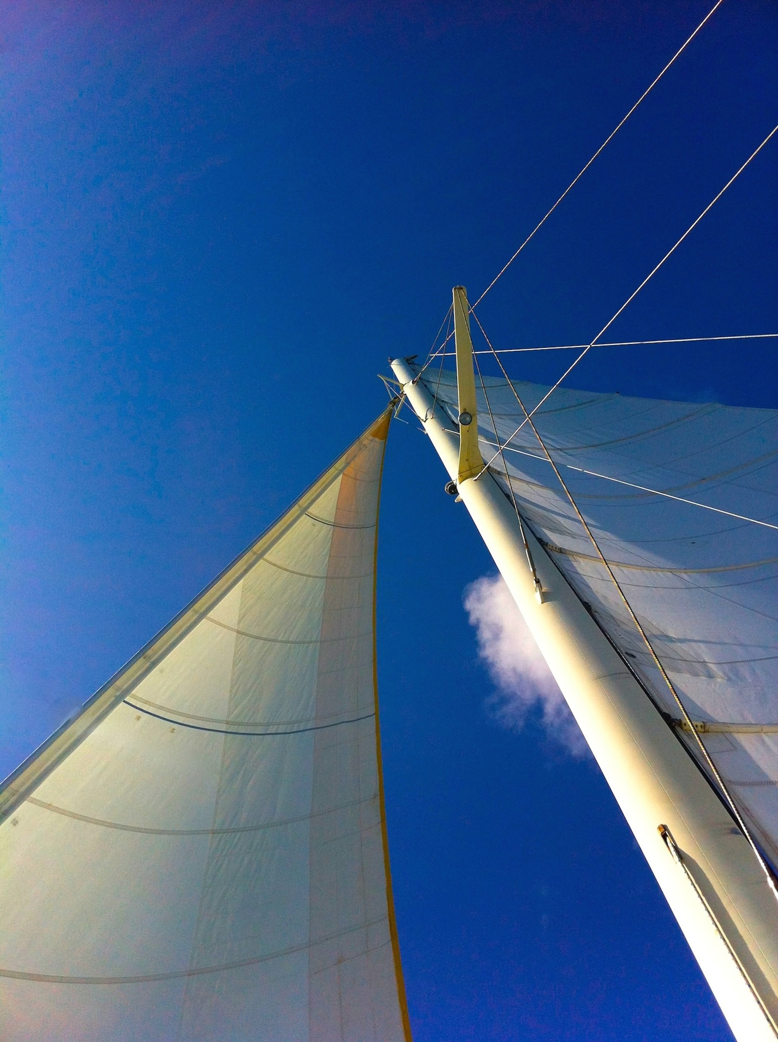 St. Kitts Sail