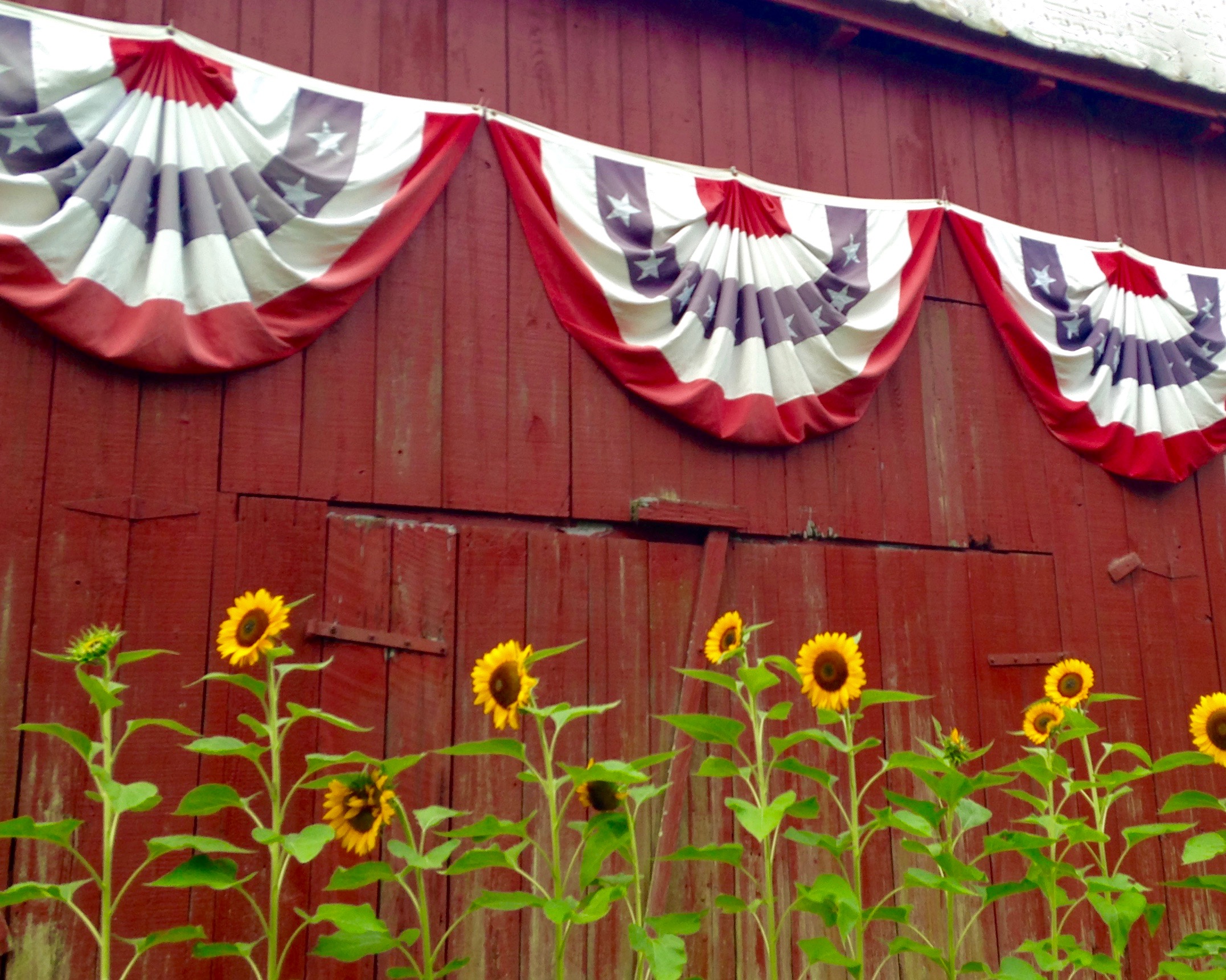 South County Fourth