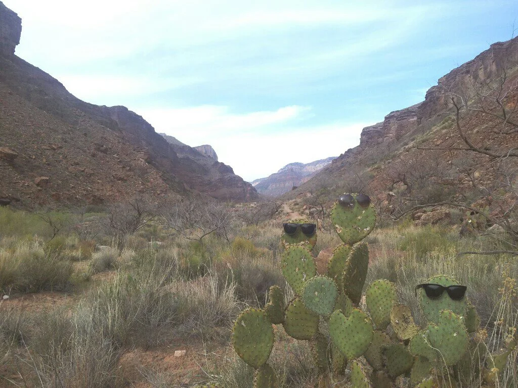 Cactus man!