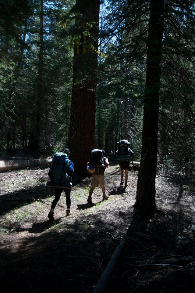 The beginning of the trail was quite easy and shaded