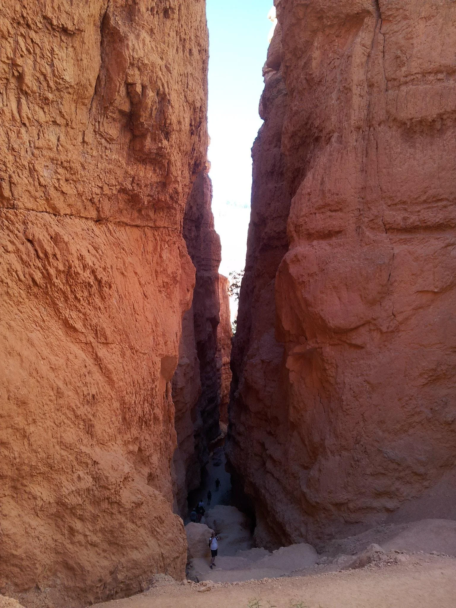 A look down a canyon called Wall Street