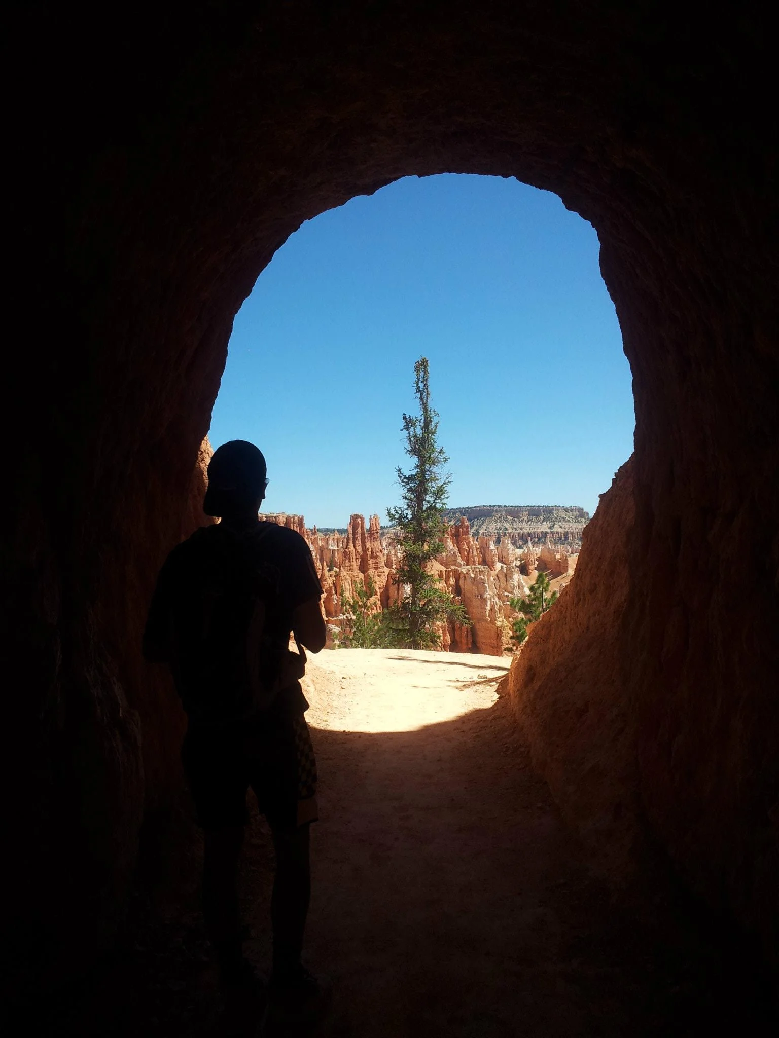 One of the tunnels that the trail leads through