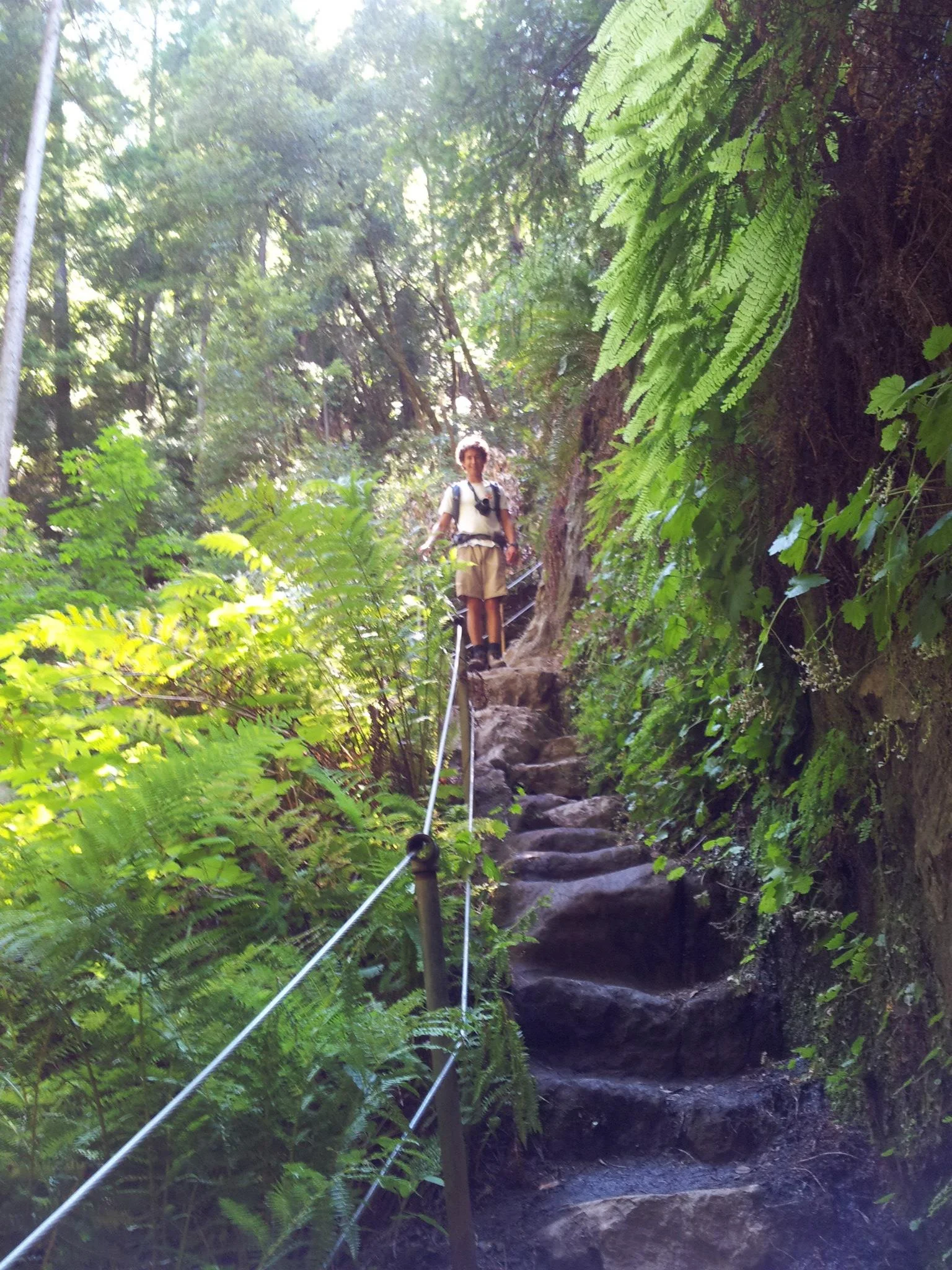 The trail was well maintained, even when it carved through wet rocks
