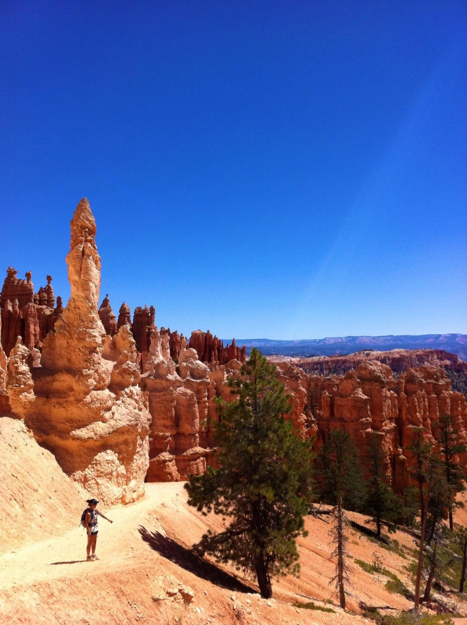 The size of some of the hoodoos in comparison to me