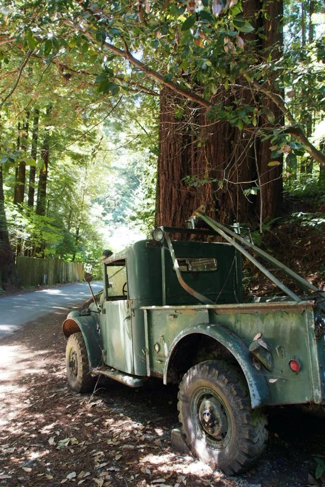 We passed this old truck on the narrow road to the park, and Kyle managed to make it look quite artistic in this photo