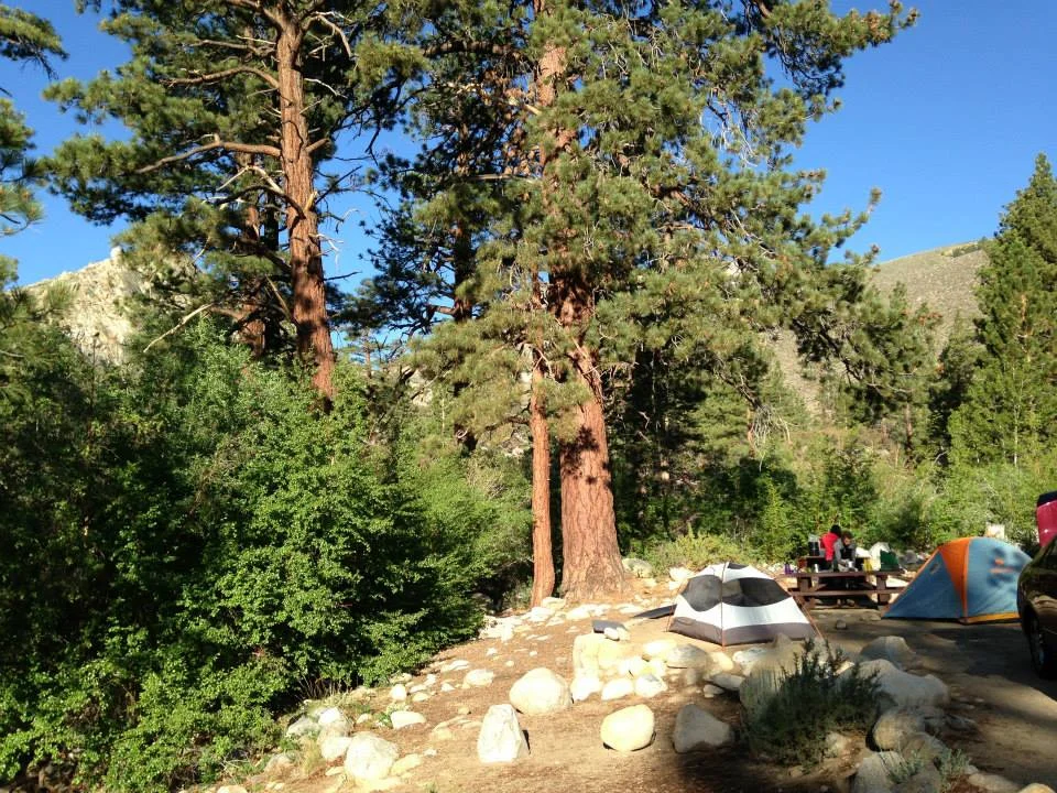 Our camp spot at Upper Intake 2