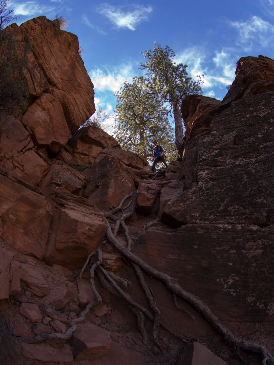 The correct, but steep way down into the canyon