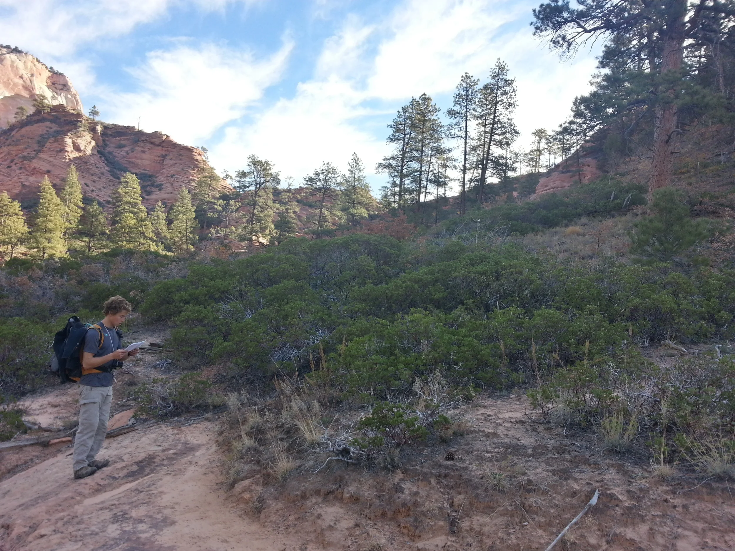 Double checking we are on the right path to descend into the canyon