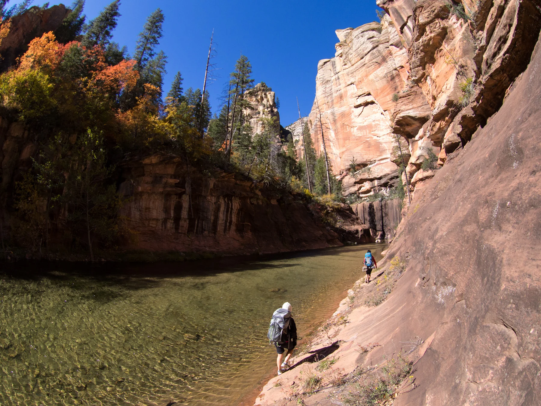 We reached a beautiful clearing and hiked along the right side to warm up our feet