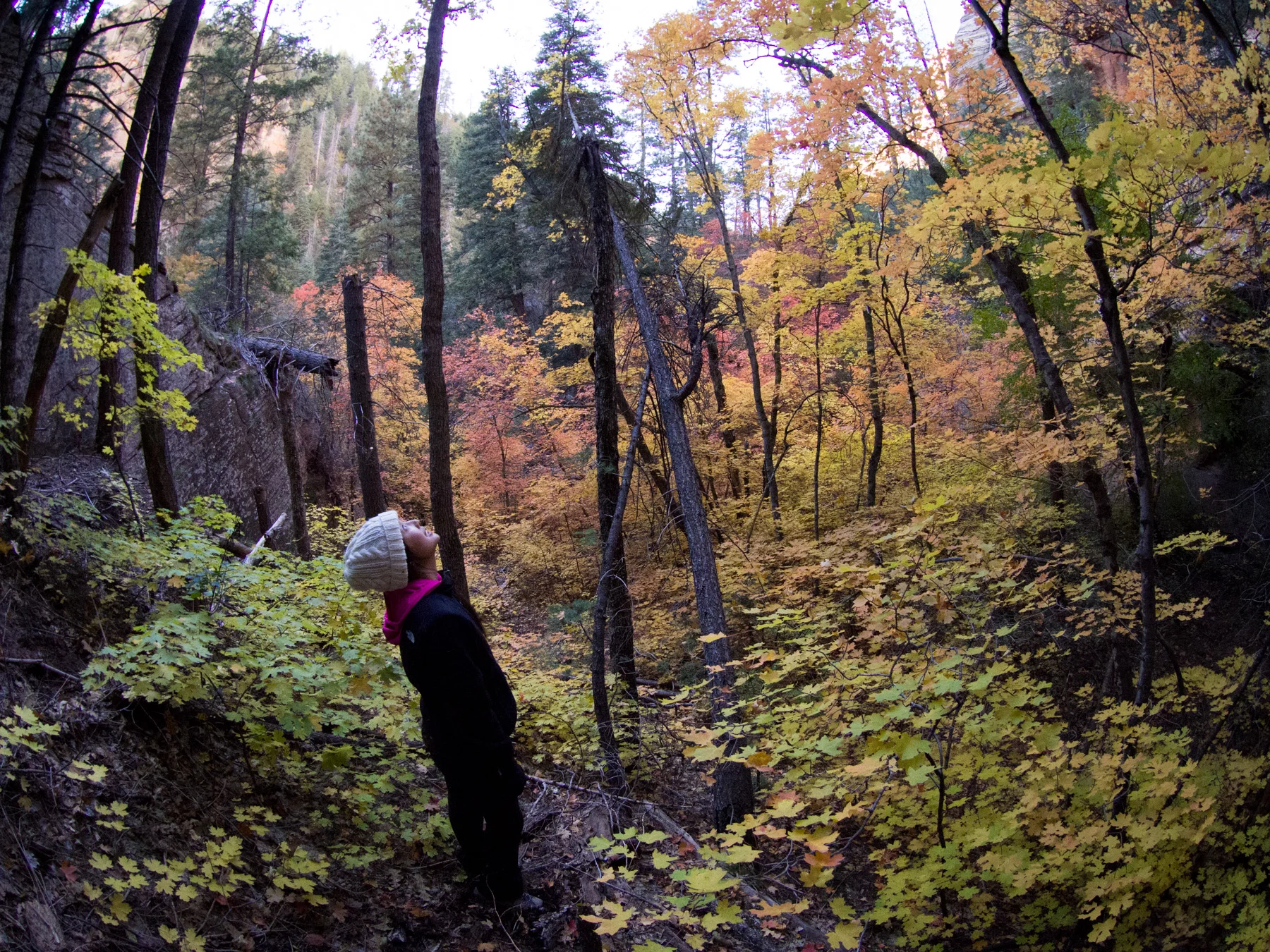 JQ surrounded by autumn colors!