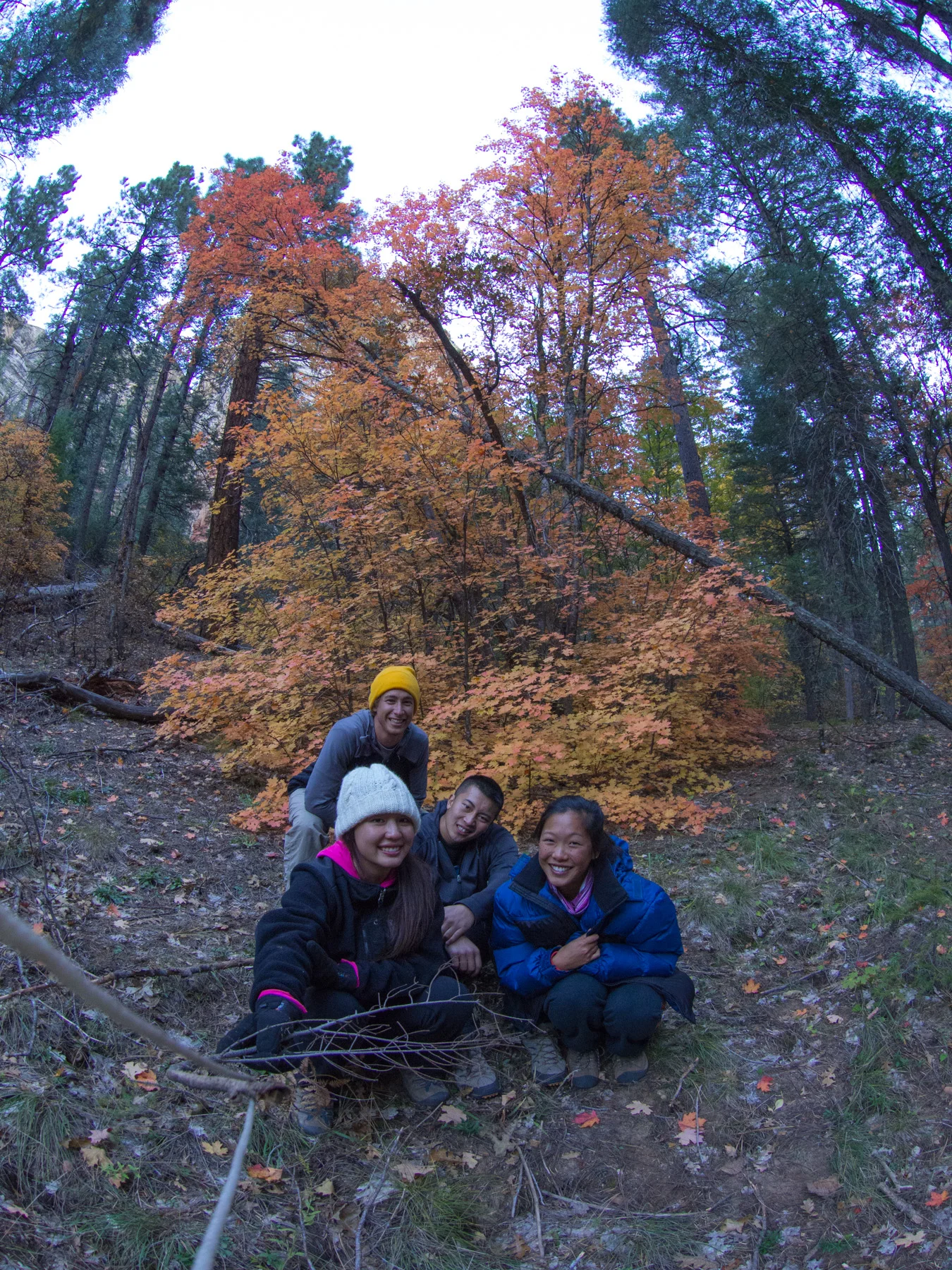 We stopped by a particularly colorful tree to snap a group photo