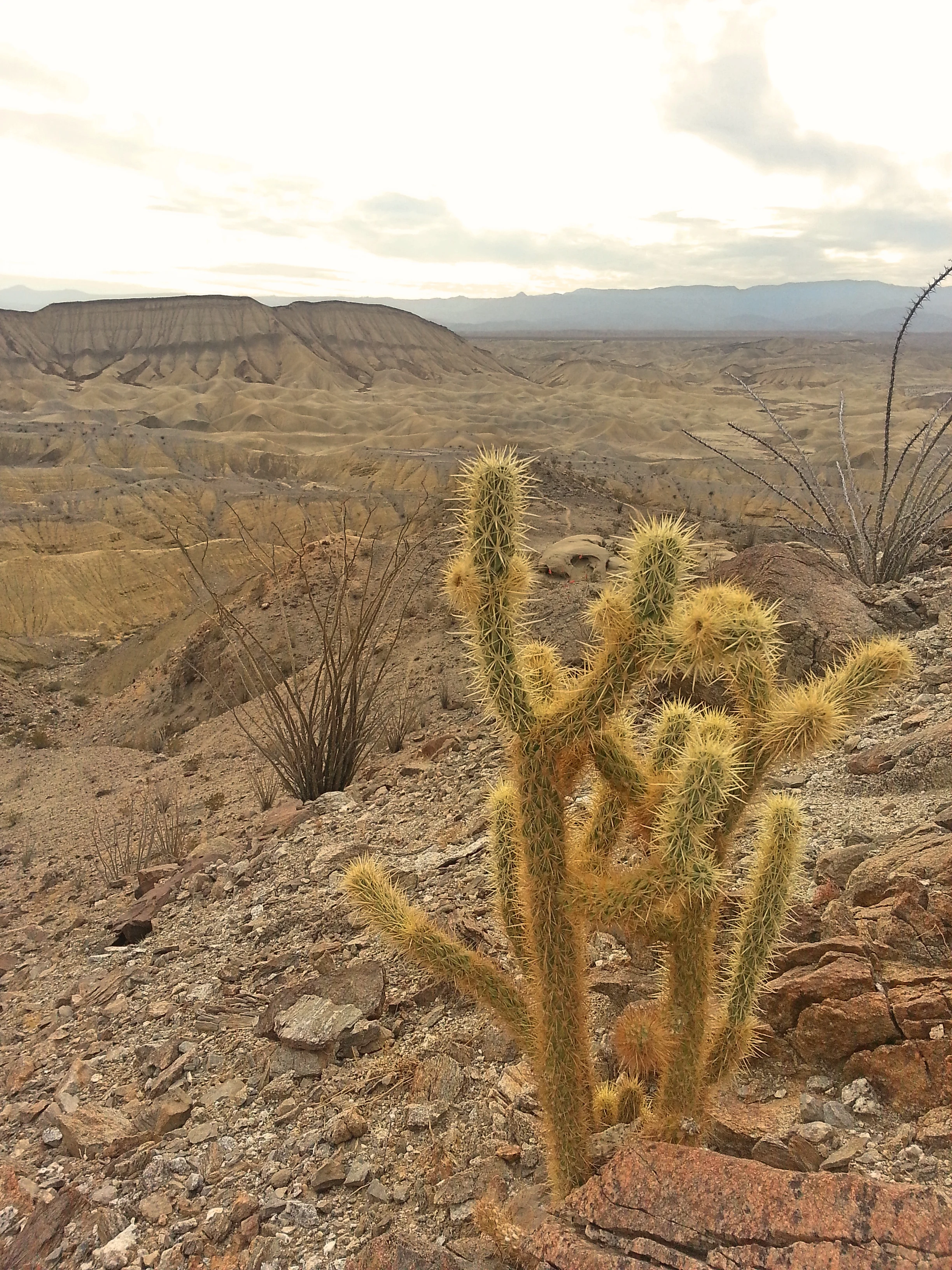 favoritedayhikes.jpg