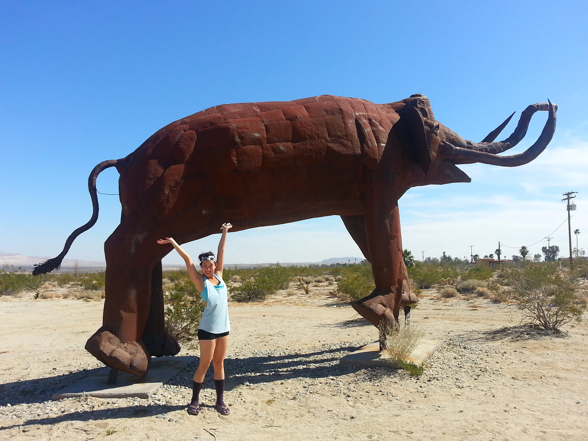 anzaborregodesertsculptures.jpg