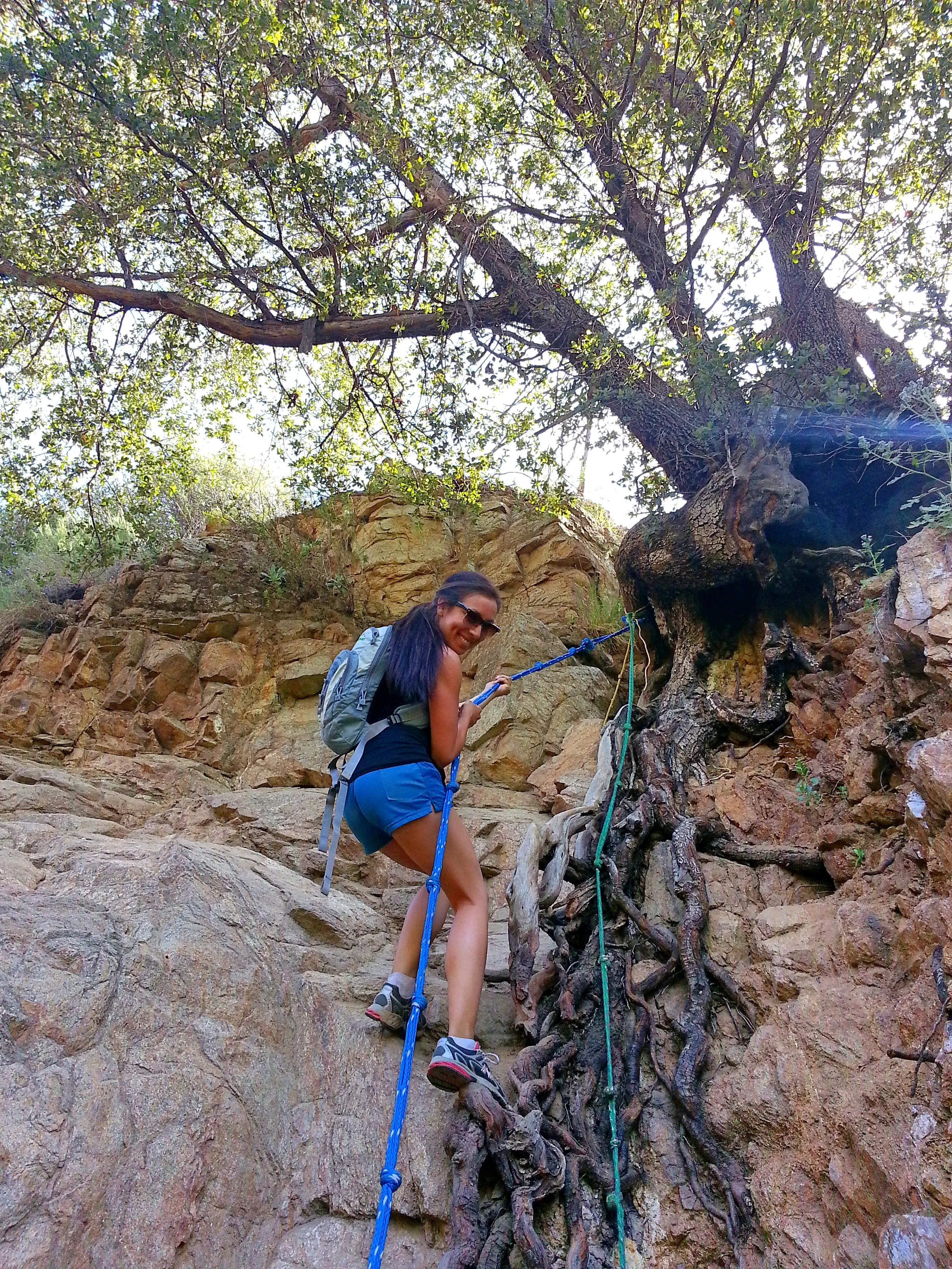 Looking up at Vanessa handlining next to some cool tree roots
