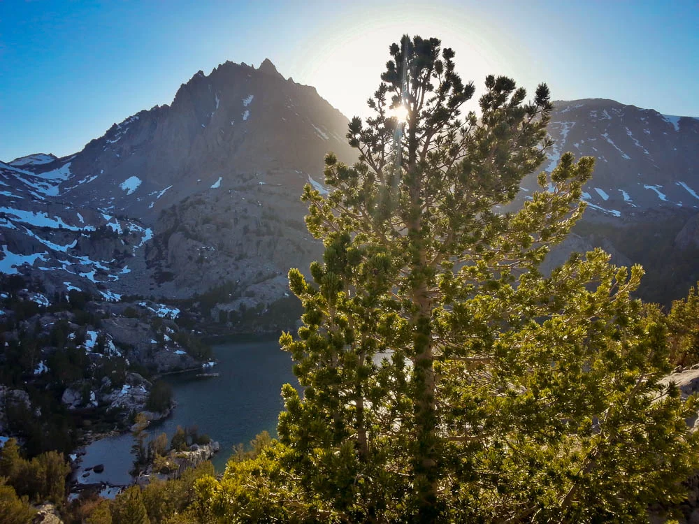 BigPineBlog-29