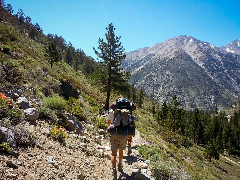 The exposed upper trail was fringed by lots of colorful wildflowers